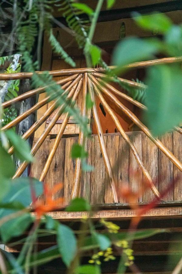 Cambuca Surf Skate Villa Ubatuba Ngoại thất bức ảnh